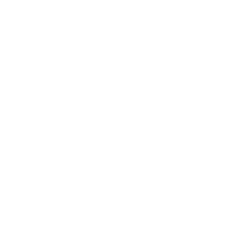 PSD Group logo